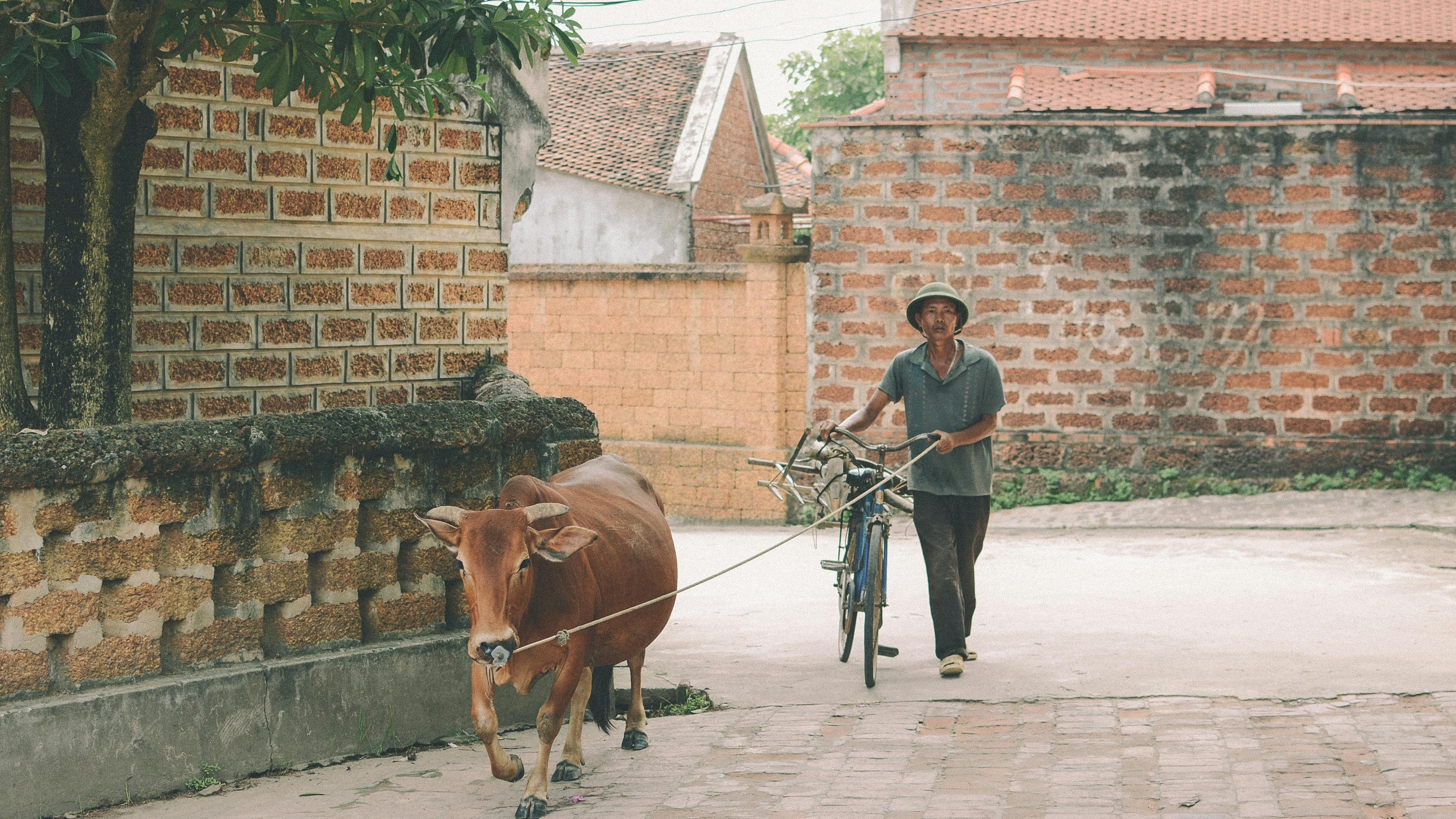 Traditional village