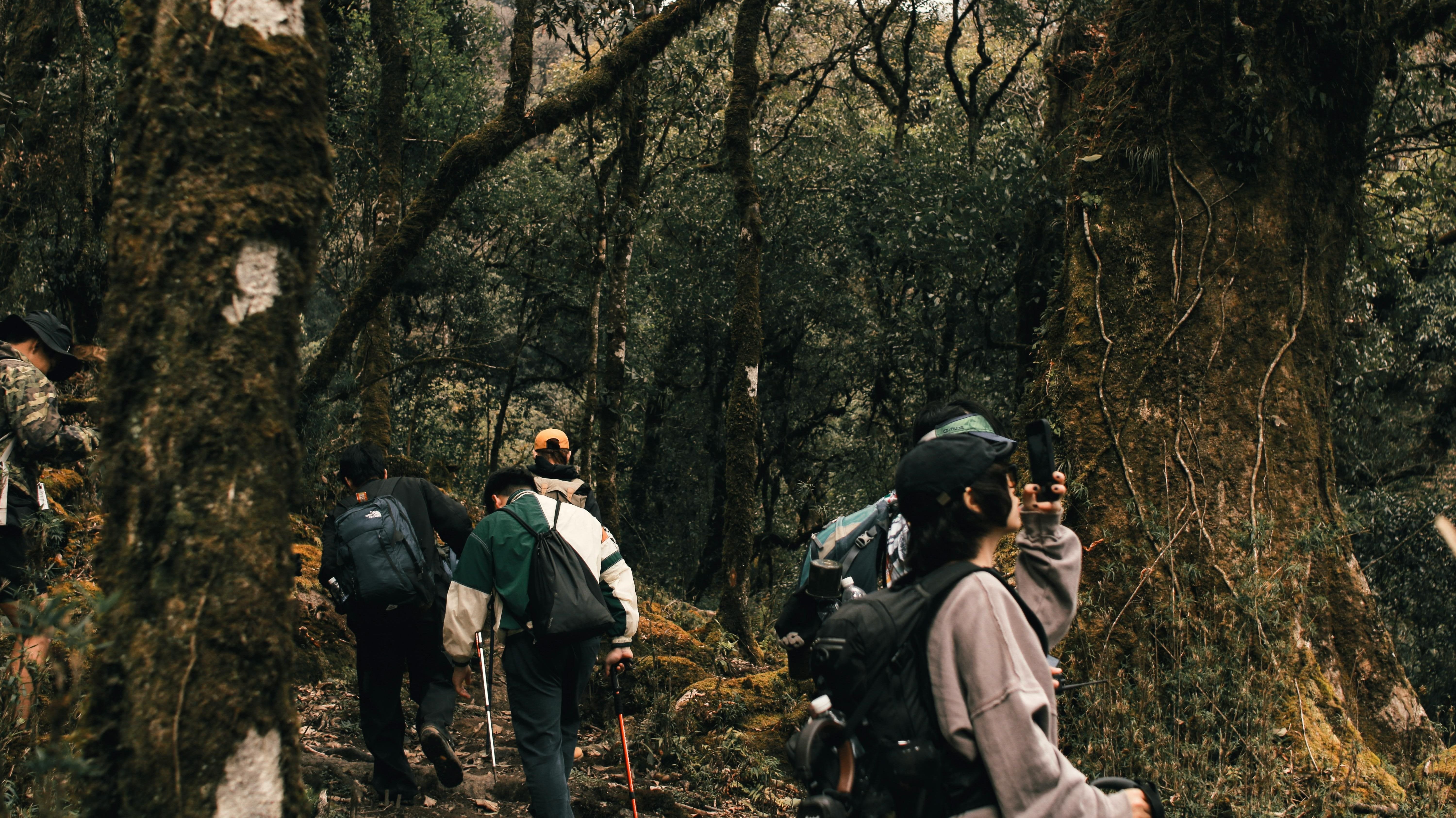 Cuc Phuong National park