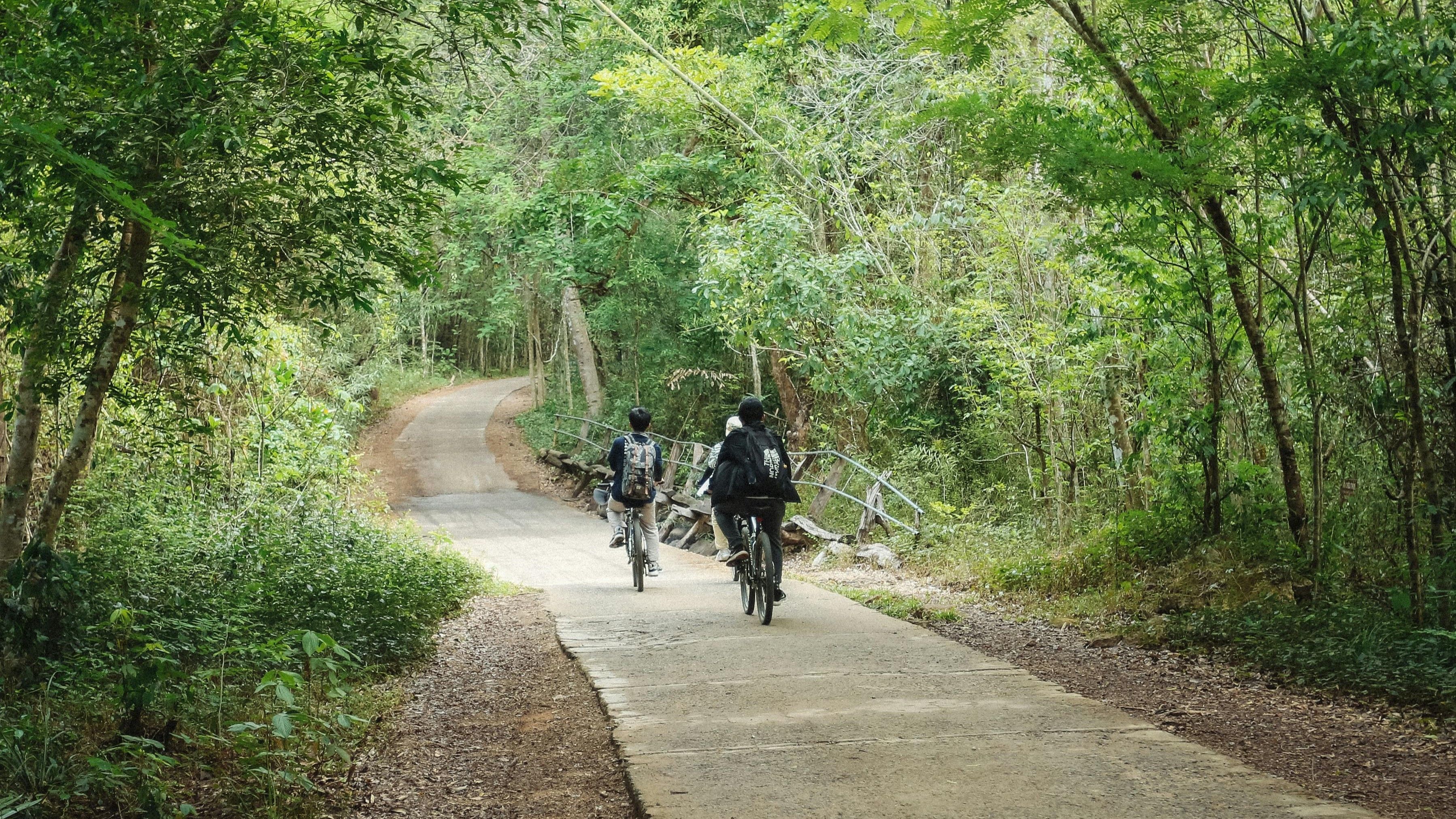 Cuc Phuong National park