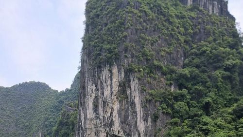 Alova Day Cruise in Halong Bay Vietnam