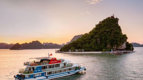 Cozy Bay Premium Cruise Day tour in Halong Bay, Vietnam