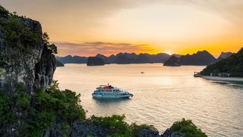 Cozy Bay Premium Cruise Day tour in Halong Bay, Vietnam