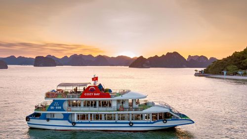 Cozy Bay Premium Cruise Day tour in Halong Bay, Vietnam