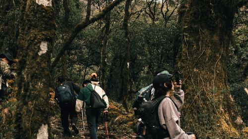 Cuc Phuong National park