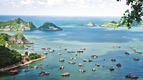 Halong Lotus Cruise